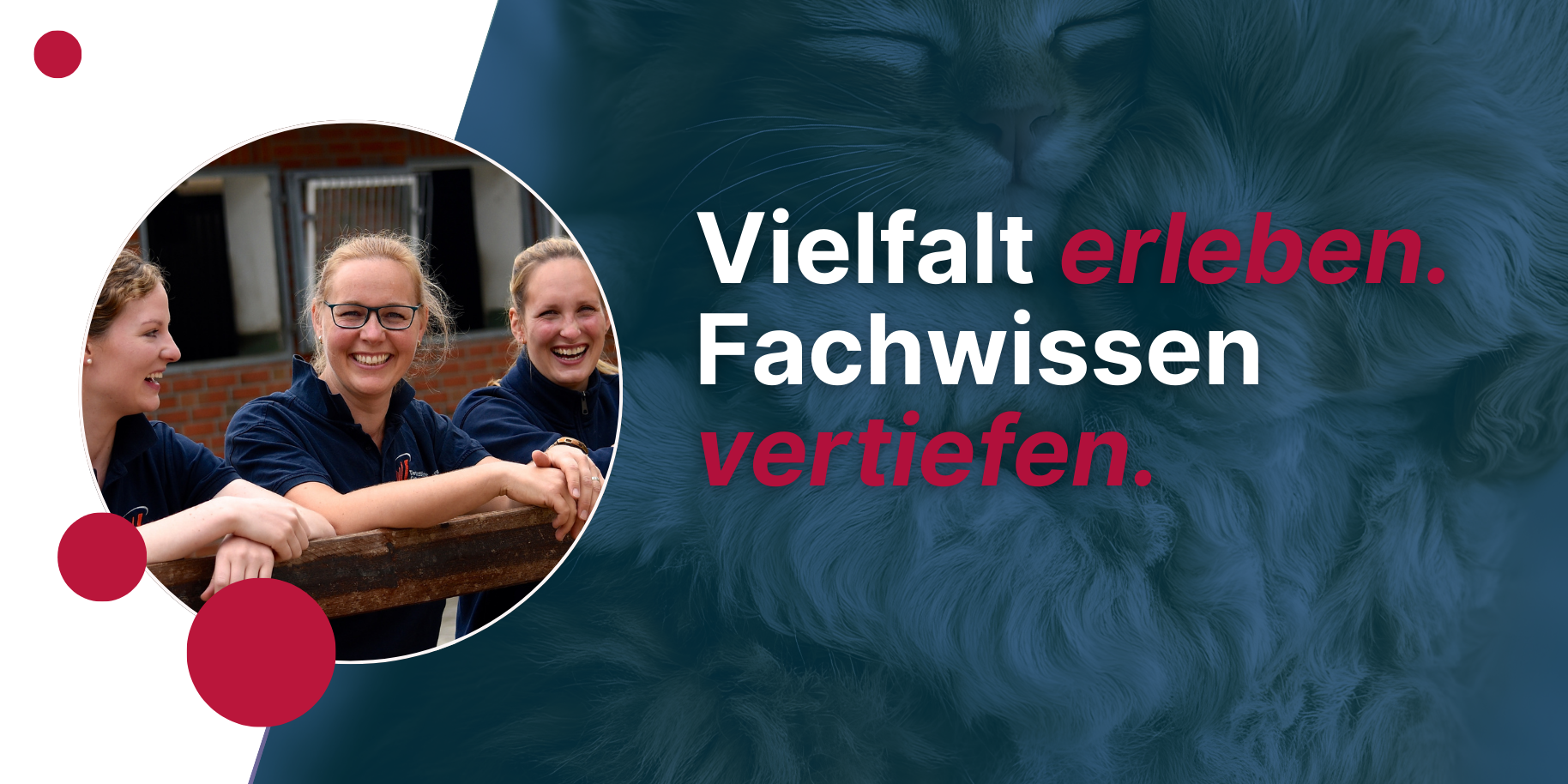 Teaserbild Tierärztliche Gemeinschaftspraxis Heeslingen