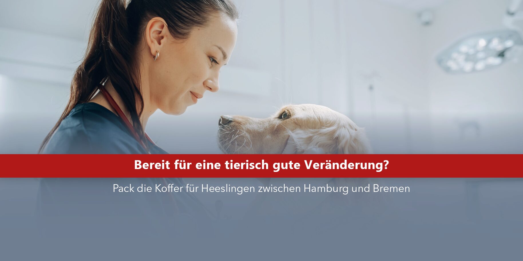 Teaserbild Tierärztliche Gemeinschaftspraxis Heeslingen